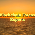 10 Blockchain Forensics Experts