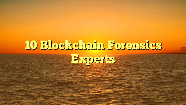 10 Blockchain Forensics Experts