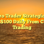 10 Pro Trader Strategies To Earn $100 Daily From Crypto Trading