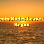 Bitcoin Nodes Leave and Rejoin