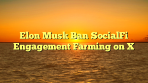 Elon Musk Ban SocialFi Engagement Farming on X