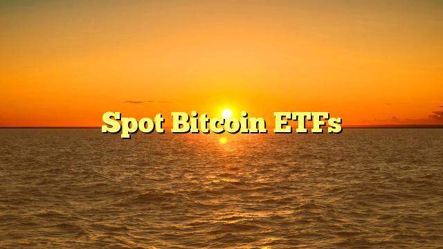 Spot Bitcoin ETFs