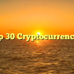 Top 30 Cryptocurrencies