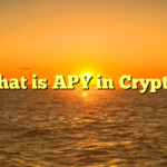 What is APY in Crypto?