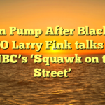 Bitcoin Pump After BlackRock CEO Larry Fink talks on CNBC’s ‘Squawk on the Street’